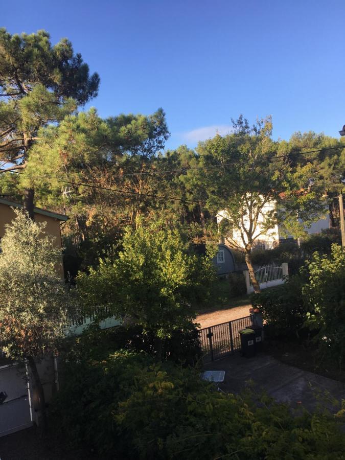 Villa L'Amiraute Agde Bagian luar foto